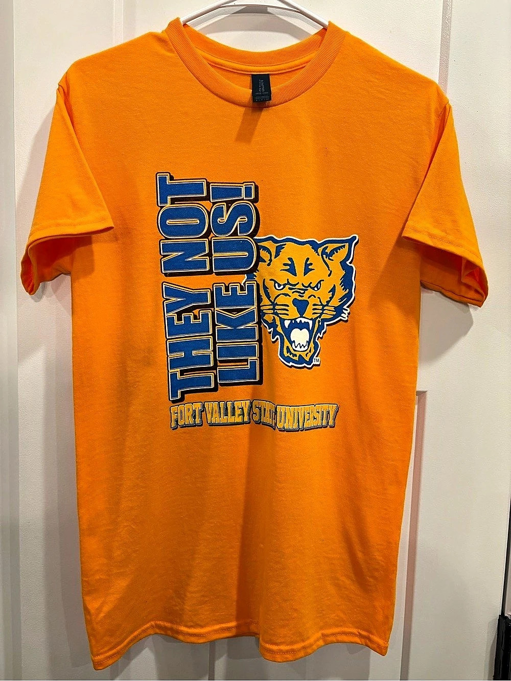 Gildan DryBlend Fort Valley State University They Not Like Us T-Shirt Graphic